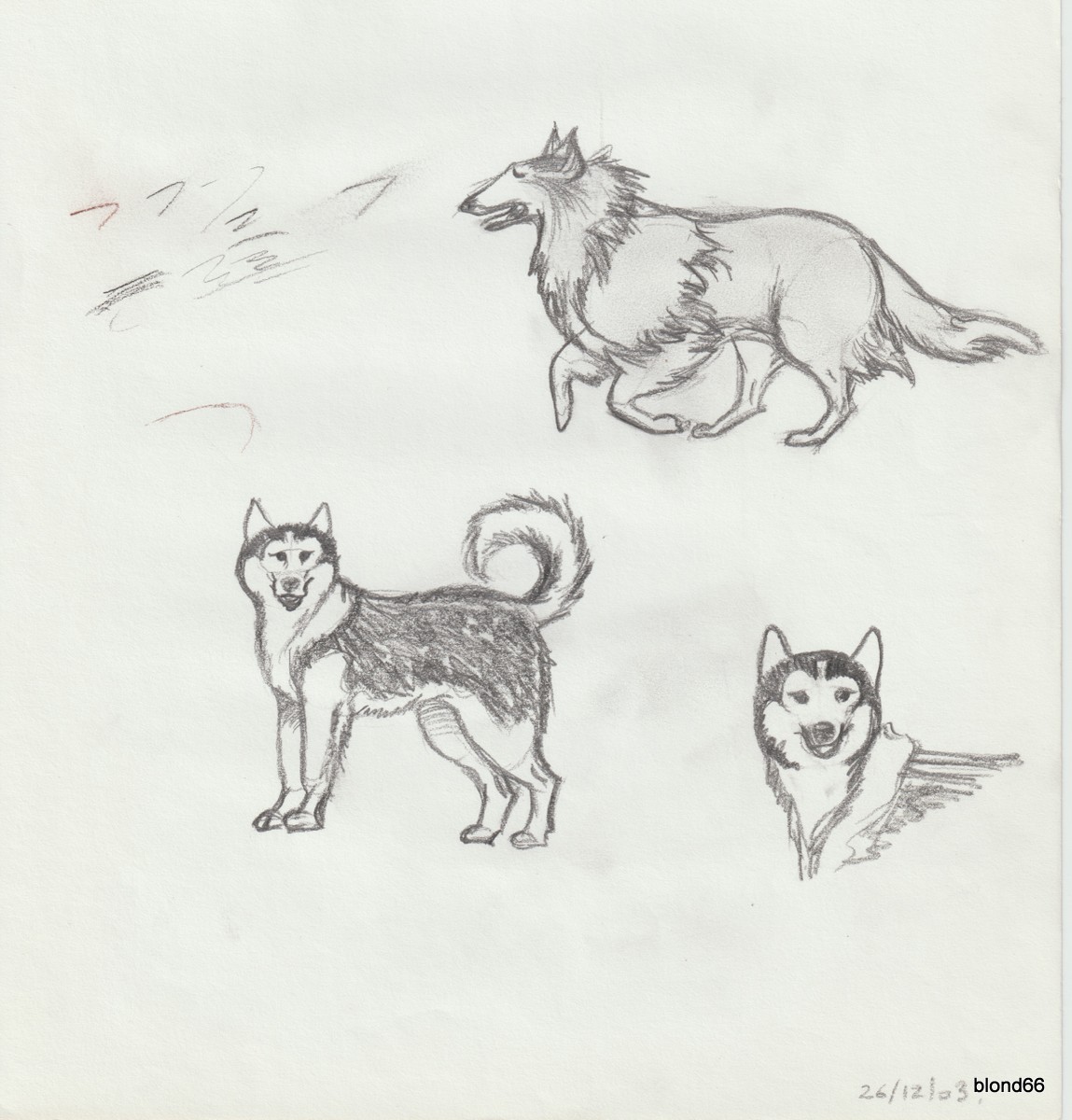 Dessin