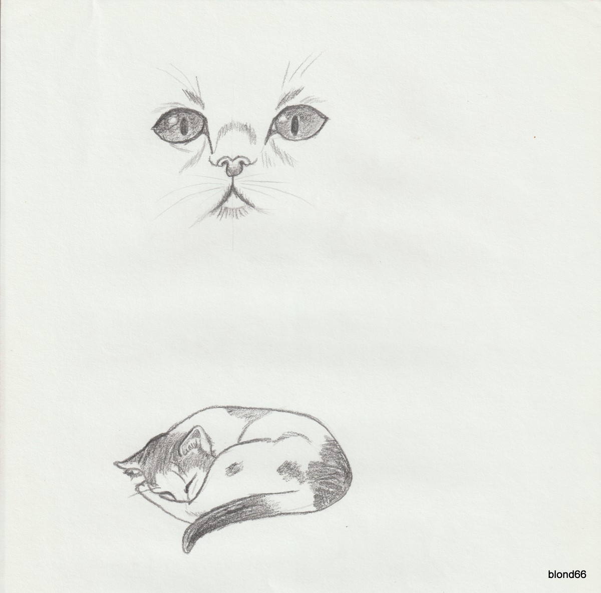 Dessin