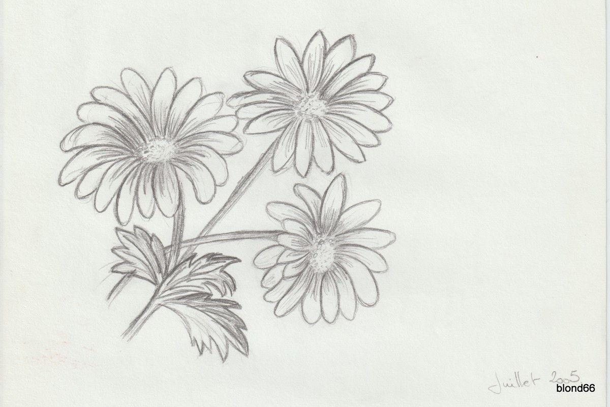 Dessin