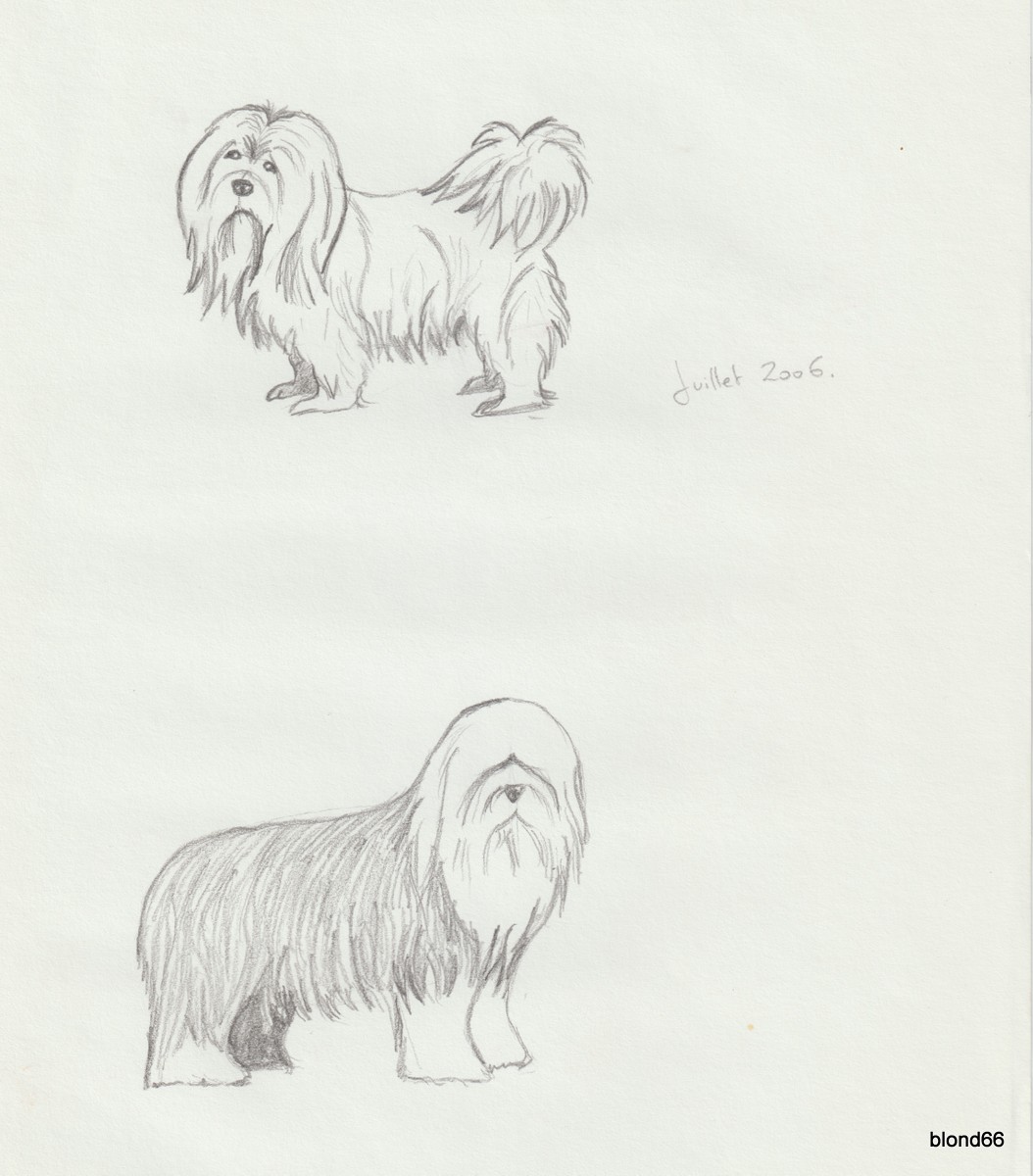 Dessin