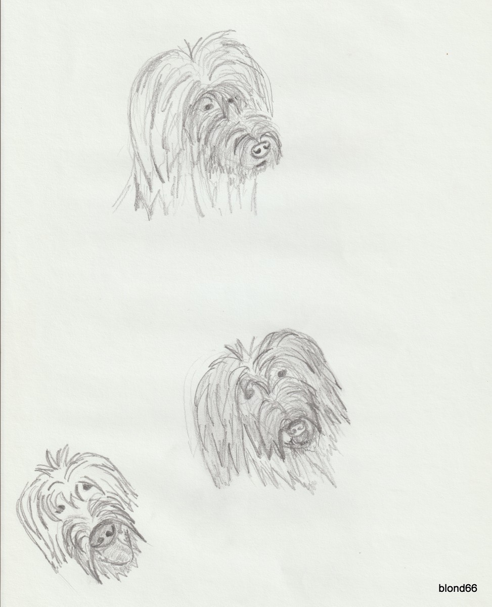 Dessin