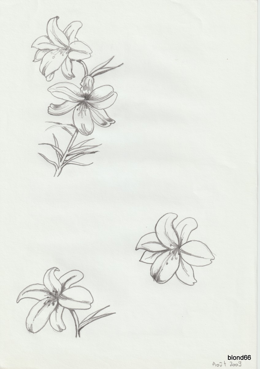 Dessin