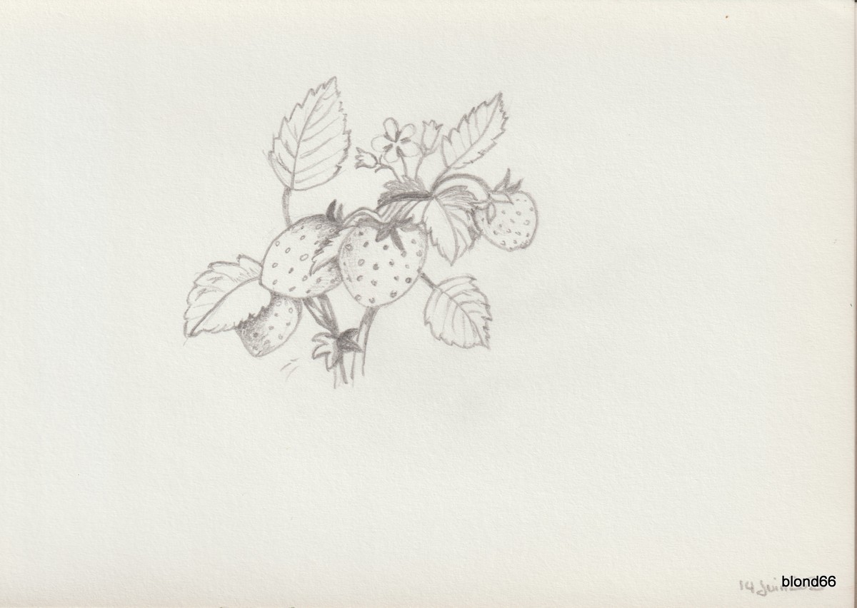 Dessin