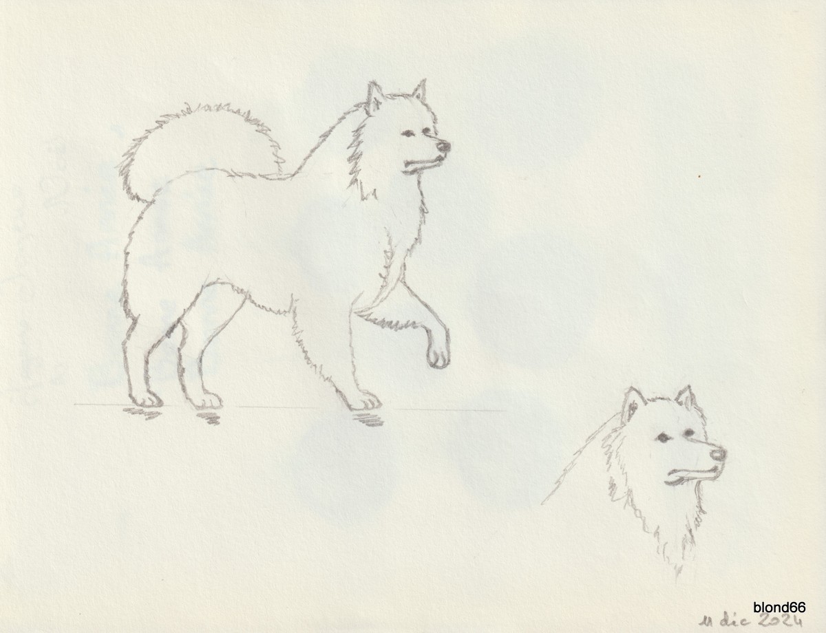 Dessin