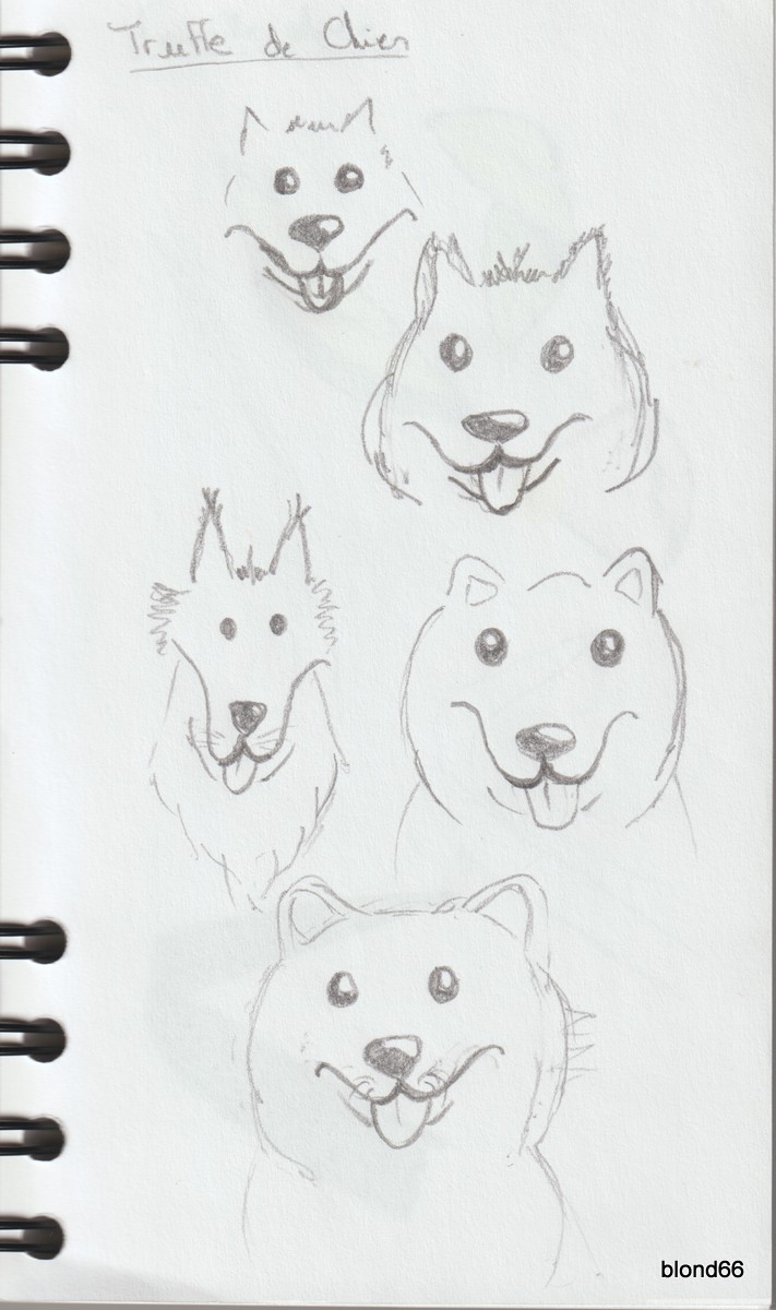 Dessin