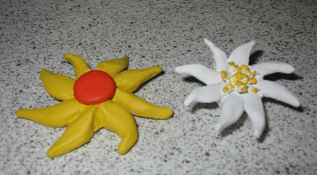 Fleurs
