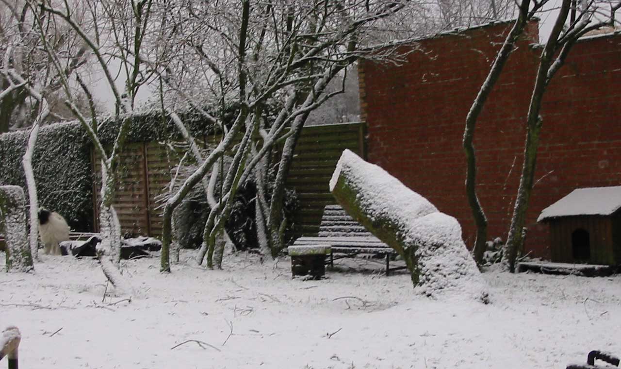 decembre sous la neige