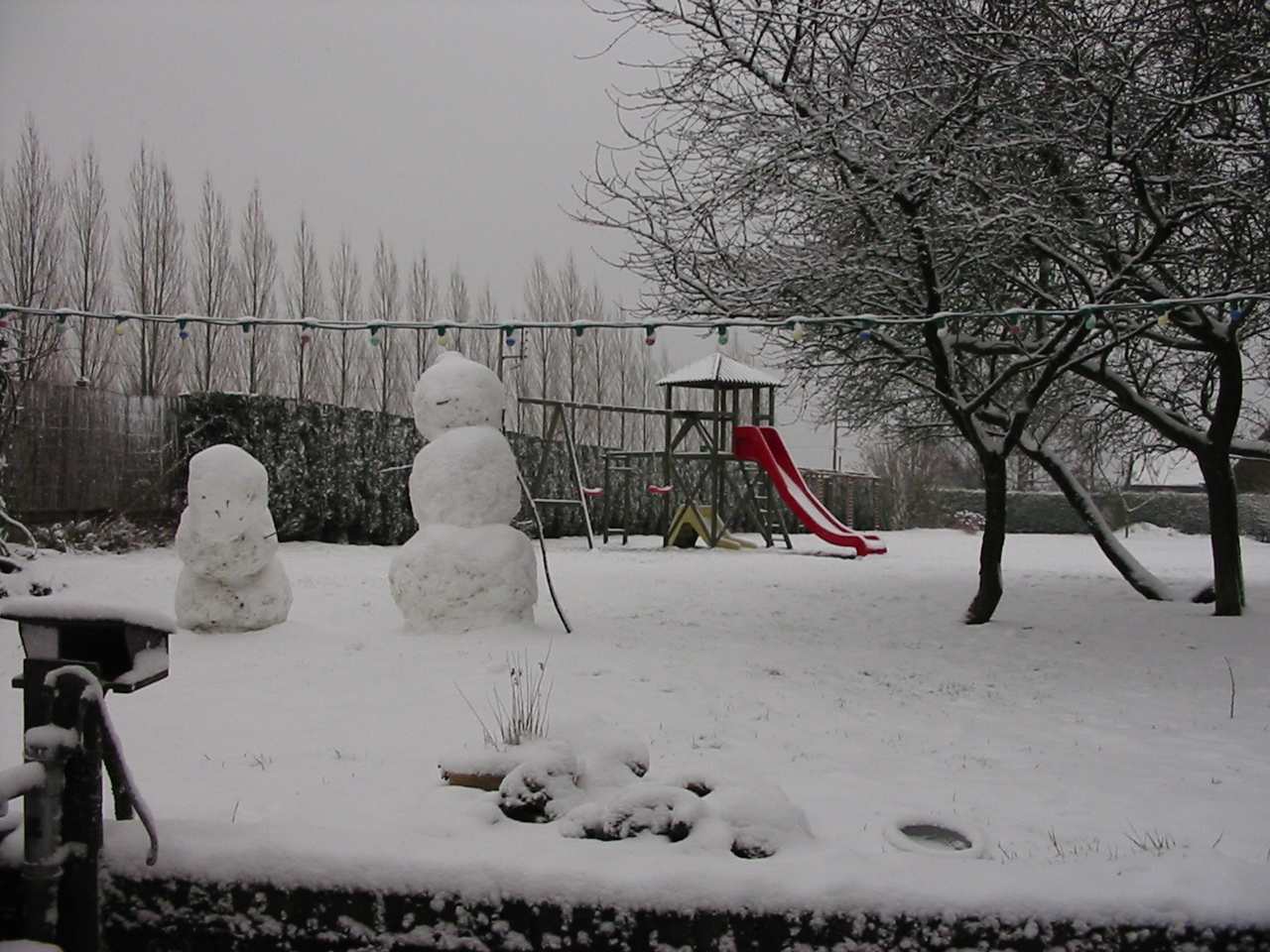 Soirée sous la neige