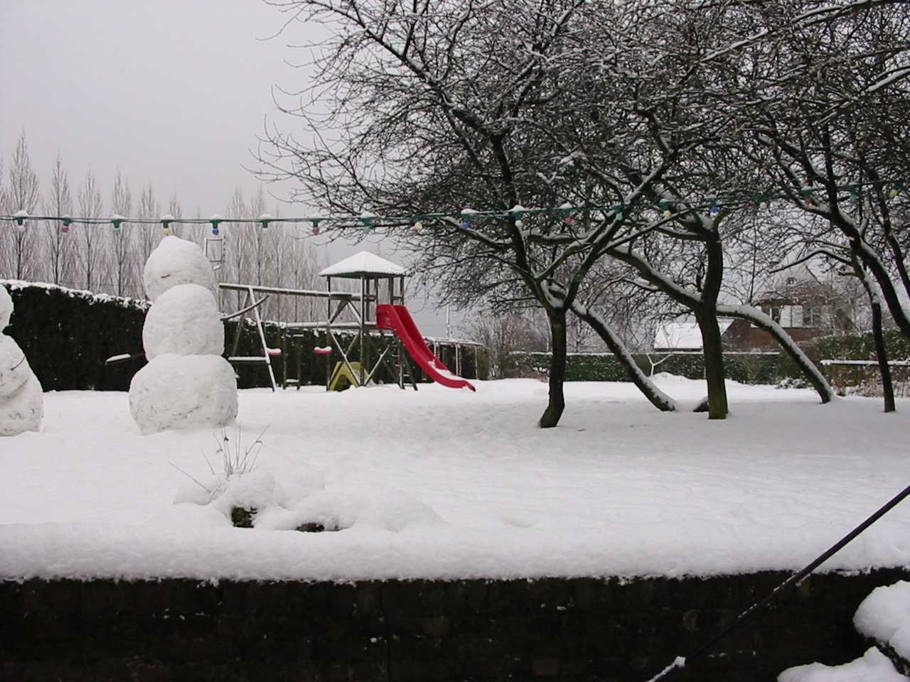 Matin sous la neige