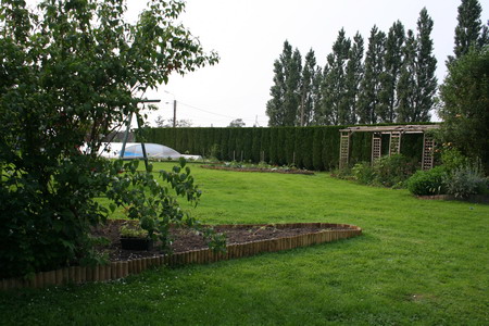 Au pied du seringat