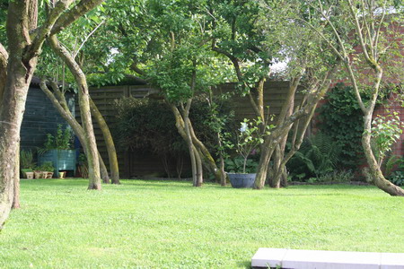 Sous bois