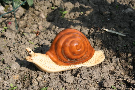 Escargot