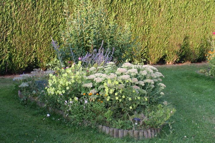derrière la piscine