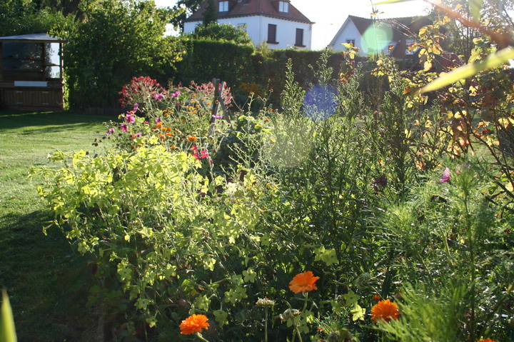 près du portail