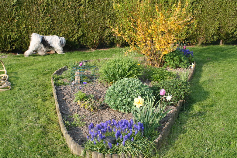 Derrière la piscine