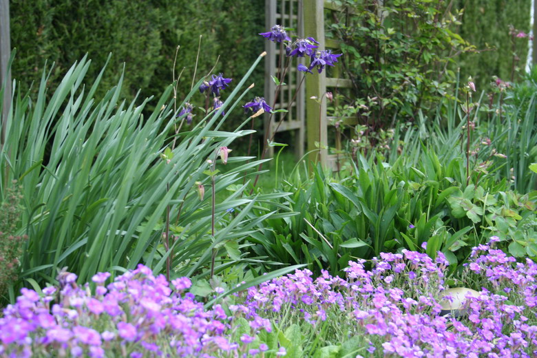 les aubriètes