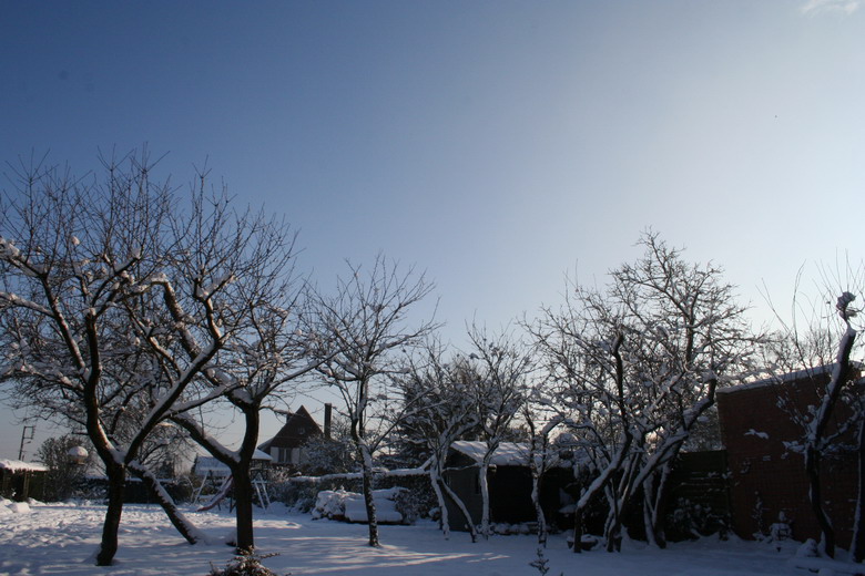 vue générale