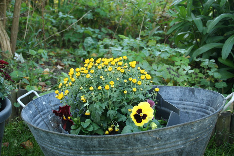 potée d'automne