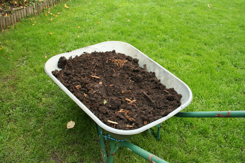 compost