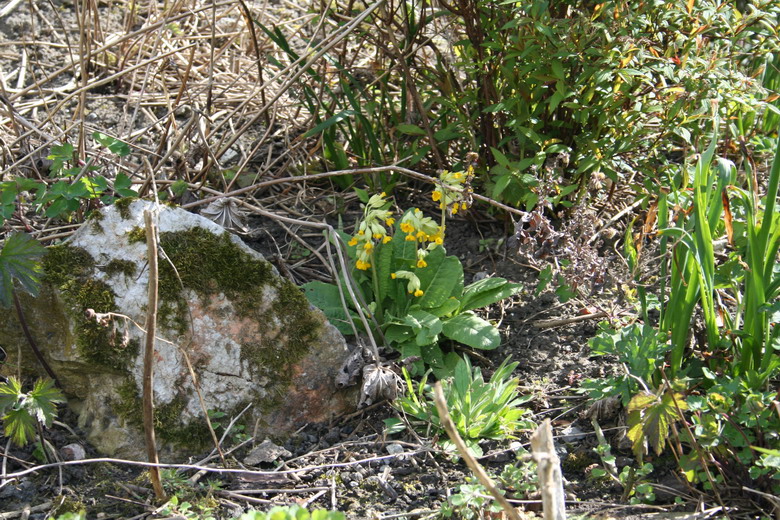 butte du pêcher