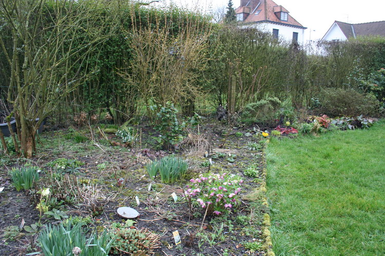 au pied du seringat