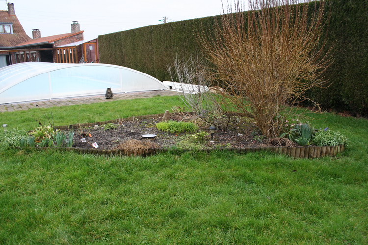 derriere la piscine