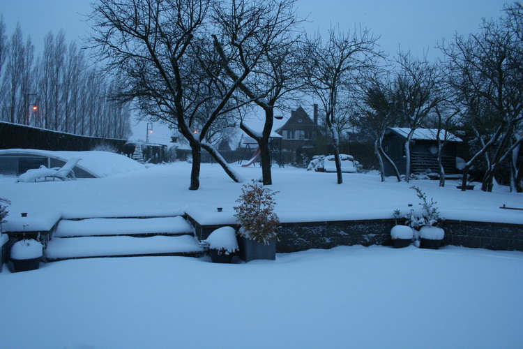 neige sur le jardin
