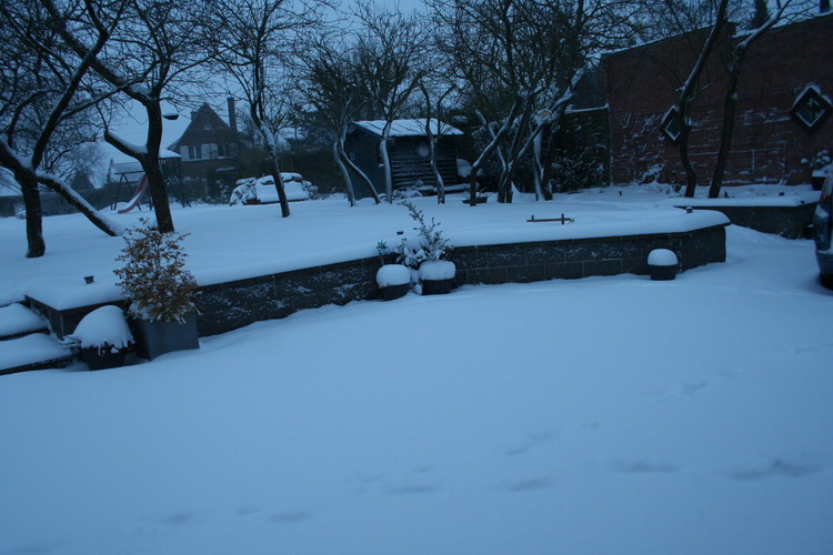 neige sur le jardin
