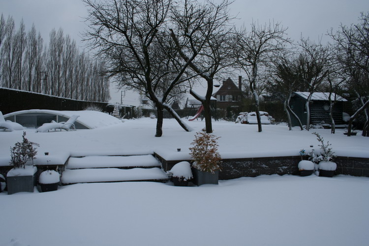 neige sur le jardin