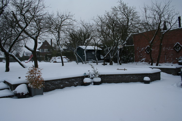 neige sur le jardin