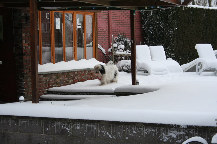 neige sur le jardin