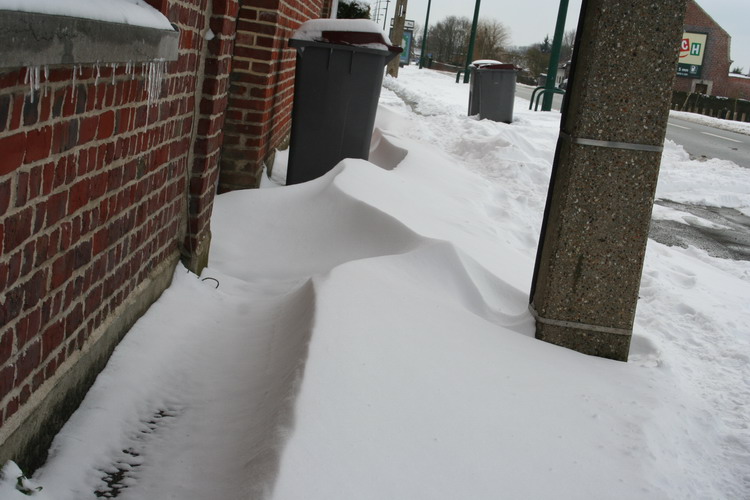 neige sur le jardin