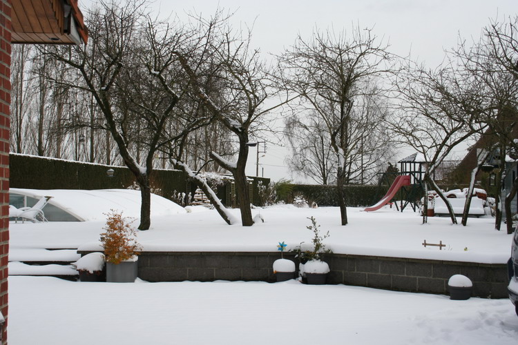 neige sur le jardin