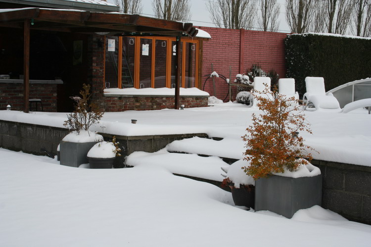 neige sur le jardin