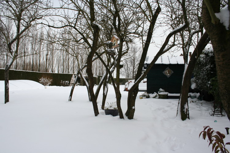 neige sur le jardin