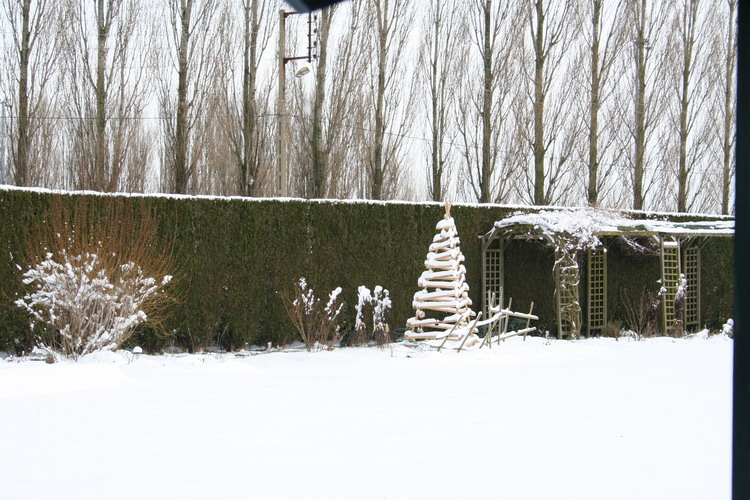 neige sur le jardin