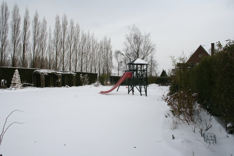 neige sur le jardin
