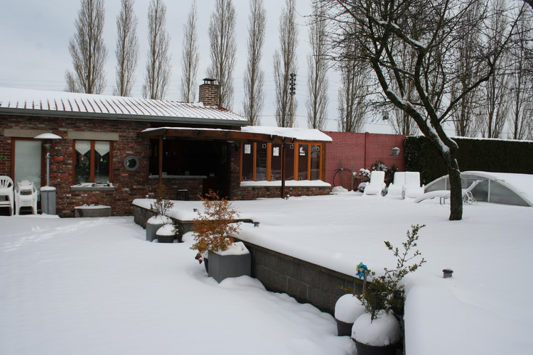 neige sur le jardin