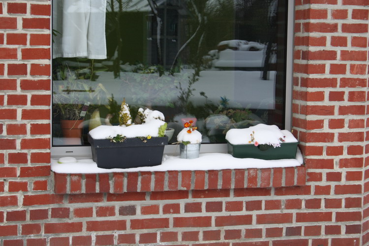 sous la neige