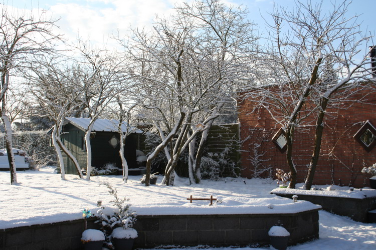 sous la neige