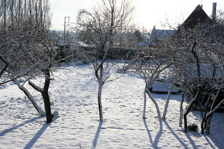 sous la neige