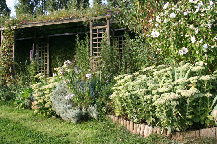 massif aux papillons