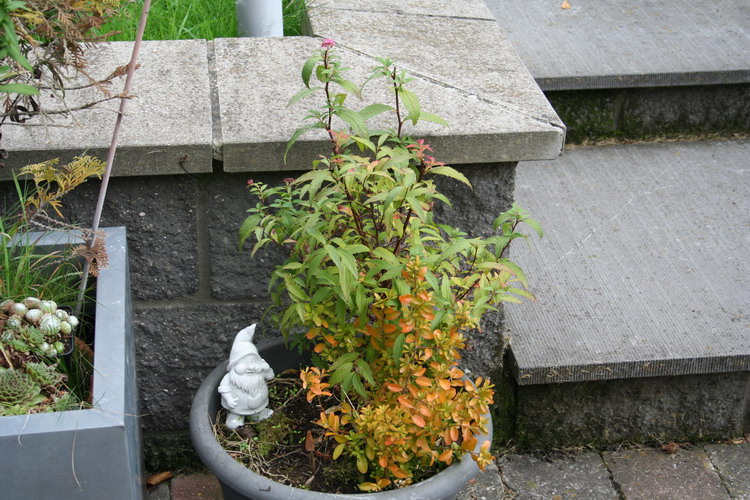 sur la terrasse