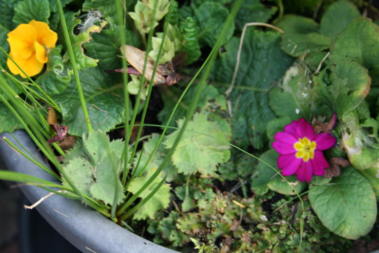 sur la terrasse