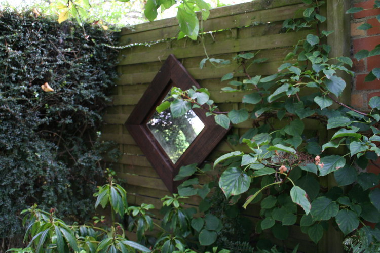sous-bois