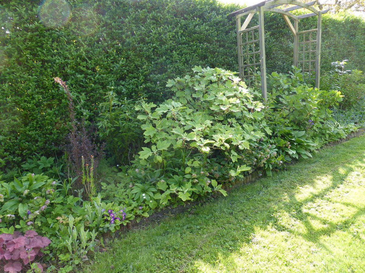 le long de la haie
