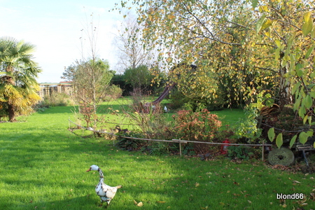 Novembre