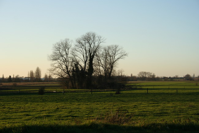 Vue de la campagne