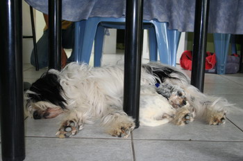 Repos