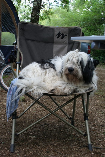 Toujours dans le fauteuil